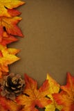 Fall-Rand Fall-Rand