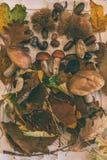 Fall on the table with with mushrooms and autumn fruits stock photo Fall on the table with with mushrooms and autumn fruits stock photo