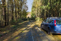 Fallen tree in forest road Royalty Free Stock Photos Fallen tree in forest road Royalty Free Stock Photos