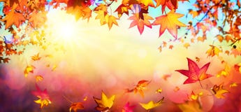 Falling Autumn Red Leaves With Sunlight Royalty Free Stock Photo Falling Autumn Red Leaves With Sunlight Royalty Free Stock Photo