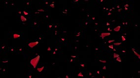 Falling Rose Petals on black background, Stock Video