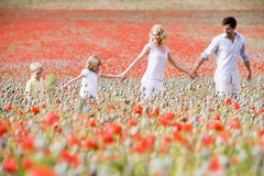 Familie die in de holdingshanden van het papavergebied loopt royalty-vrije stock afbeeldingen Familie die in de holdingshanden van het papavergebied loopt royalty-vrije stock afbeeldingen