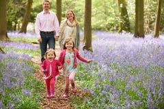 Familie die door Klokjehout samen lopen Stock Foto Familie die door Klokjehout samen lopen Stock Foto