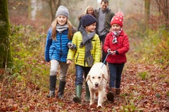 Familie het Lopen Hond door de Winterbos stock afbeeldingen Familie het Lopen Hond door de Winterbos stock afbeeldingen