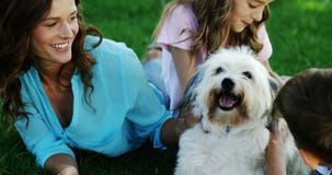 Familie het spelen met hun hond in het park stock footage Familie het spelen met hun hond in het park stock footage