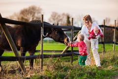 Familie met jonge geitjes die paard voeden royalty-vrije stock afbeelding Familie met jonge geitjes die paard voeden royalty-vrije stock afbeelding