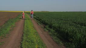 Familie op fietsen Een vrouw met een kind op een rit op fietsen levensstijl Gezonde Levensstijl sportfamilie stock footage Familie op fietsen Een vrouw met een kind op een rit op fietsen levensstijl Gezonde Levensstijl sportfamilie stock footage