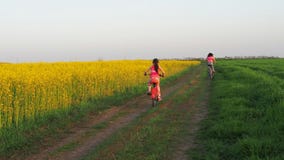 Familie op fietsen Een vrouw met een kind op een rit op fietsen levensstijl Gezonde Levensstijl sportfamilie stock footage Familie op fietsen Een vrouw met een kind op een rit op fietsen levensstijl Gezonde Levensstijl sportfamilie stock footage