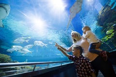 Famille heureuse regardant l'aquarium l'aquarium images stock Famille heureuse regardant l'aquarium l'aquarium images stock