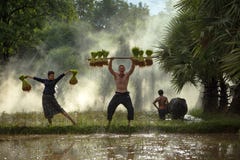 Family Farmer royalty free stock photography Family Farmer royalty free stock photography