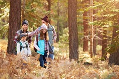 Family having fun hiking through forest, California, USA stock image Family having fun hiking through forest, California, USA stock image