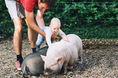 Family with kids in the petting zoo. royalty free stock images Family with kids in the petting zoo. royalty free stock images