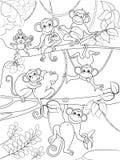 Family of monkeys on a tree coloring book for children cartoon vector illustration stock illustration Family of monkeys on a tree coloring book for children cartoon vector illustration stock illustration