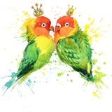 Family Parrot T-shirt graphics. Parrot illustration with splash watercolor textured background. unusual illustration watercolor P royalty free illustration Family Parrot T-shirt graphics. Parrot illustration with splash watercolor textured background. unusual illustration watercolor P royalty free illustration