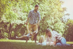 Family playing in the meadow together and enjoying in sum royalty free stock photo Family playing in the meadow together and enjoying in sum royalty free stock photo