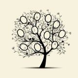 Family Tree Design, Insert Your Photos Into Frames Stock Images Family Tree Design, Insert Your Photos Into Frames Stock Images