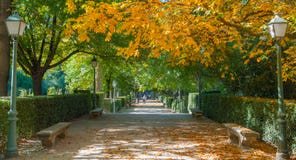 A família explora o jardim público do parque do ` s Retiro da Espanha imagens de stock A família explora o jardim público do parque do ` s Retiro da Espanha imagens de stock