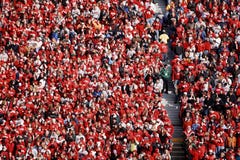 Fan de futebol do texugo de Wisconsin imagem de stock Fan de futebol do texugo de Wisconsin imagem de stock