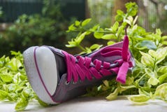 Fancy Sneaker With The Pink Laces In Green Grass Royalty Free Stock Photo Fancy Sneaker With The Pink Laces In Green Grass Royalty Free Stock Photo