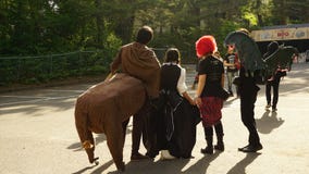 Fans som är utklädda i SEKAI INGEN OWARI-konsert, Insomina drev fotografering för bildbyråer Fans som är utklädda i SEKAI INGEN OWARI-konsert, Insomina drev fotografering för bildbyråer
