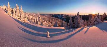 Fantastic evening and morning winter landscape. Colorful overcast sky. Beauty world Magical snow covered tree. First snow stock photography Fantastic evening and morning winter landscape. Colorful overcast sky. Beauty world Magical snow covered tree. First snow stock photography