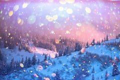 Dramatic wintry scene with snowy trees. royalty free stock photos Dramatic wintry scene with snowy trees. royalty free stock photos