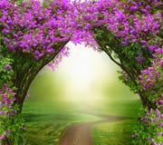 Fantasy background . Magic forest with road