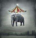 Fantazja słoń ilustracja wektor Fantazja słoń ilustracja wektor