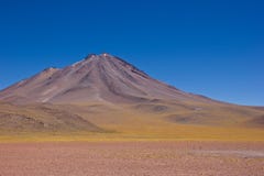 Far view of lama or guanaco in Atacama in front of mountain stock photography Far view of lama or guanaco in Atacama in front of mountain stock photography