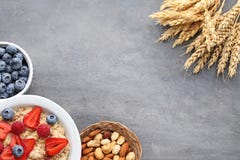 Farine d'avoine dans le plat avec des baies image libre de droits Farine d'avoine dans le plat avec des baies image libre de droits