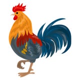 Muscle Rooster Holding The Barbell Stock Vector - Illustration of ...