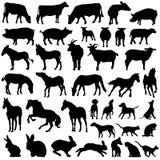 Farm domestic animals silhouette vector collection