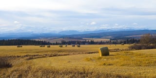 Farm Near The Rocky Mountains Stock Photography
