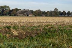 Farmbuilding in un campo raccolto in Rhoon fotografie stock Farmbuilding in un campo raccolto in Rhoon fotografie stock