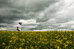 Farmer checking his crop of canola Royalty Free Stock Images Farmer checking his crop of canola Royalty Free Stock Images