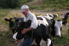 Farmer with Cows