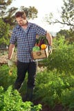 Farmer and crate of fresh produce royalty free stock photo Farmer and crate of fresh produce royalty free stock photo