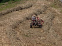 Farmer cuts a wheat field stock photo Farmer cuts a wheat field stock photo