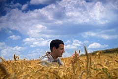 Farmer In A Wheat Field Royalty Free Stock Images