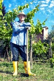 Farmer Straw Hat Spade Portrait Break Vineyard