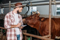 Farmer που παίρνει τις σημειώσεις στο σταύλο στοκ εικόνα με δικαίωμα ελεύθερης χρήσης Farmer που παίρνει τις σημειώσεις στο σταύλο στοκ εικόνα με δικαίωμα ελεύθερης χρήσης