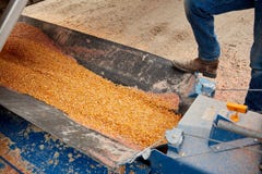 Farmer που στέκεται στο γεωργικό εξοπλισμό στοκ εικόνες Farmer που στέκεται στο γεωργικό εξοπλισμό στοκ εικόνες