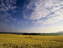 Farmland Stock Images Farmland Stock Images