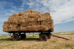Farmland Royalty Free Stock Images Farmland Royalty Free Stock Images