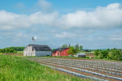 Farmland crops planted for the season stock photography Farmland crops planted for the season stock photography