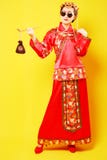 Fashion Chinese style suit royalty free stock images Fashion Chinese style suit royalty free stock images