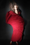 Fashion model in red dress Elegant woman stock image Fashion model in red dress Elegant woman stock image