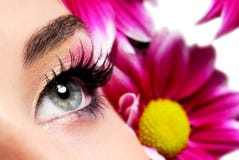 Fashion purple make-up stock photography Fashion purple make-up stock photography