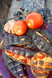 Faszerować oberżyny piec na grillu zdjęcia stock Faszerować oberżyny piec na grillu zdjęcia stock