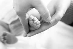 Father or mother holding foot of newborn baby royalty free stock photo Father or mother holding foot of newborn baby royalty free stock photo